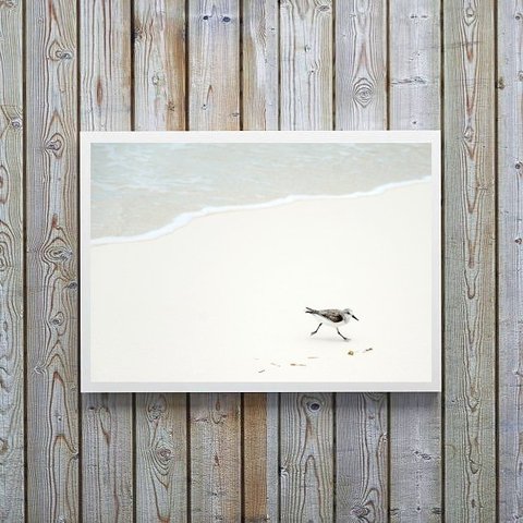 Quadro Decorativo Minimalista- Mar Pássaro Branco 24x18cm:madeira Preta