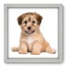 Quadro Decorativo - Cachorro - 186qdsb - 1