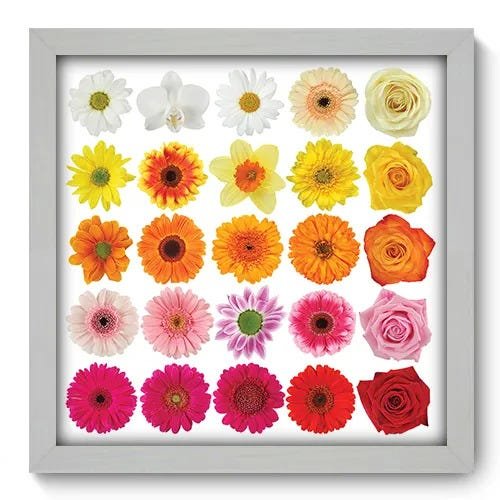 Quadro Decorativo - Flores - 078qdfb - 1