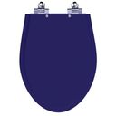 Ver imagem 1 de Assento Sanitário Laqueado Soft Close Victoria Cobalto (azul Escuro) para Vaso Ideal Standard