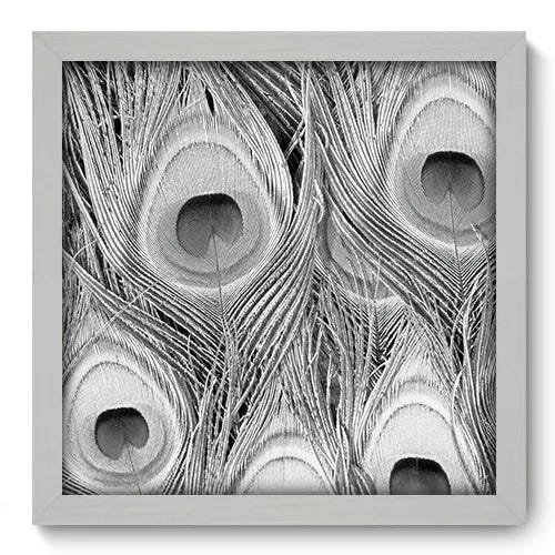 Quadro Decorativo - Pavão - 180qdsb - 1