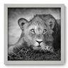 Quadro Decorativo - Leãozinho - 014qdsb - 1