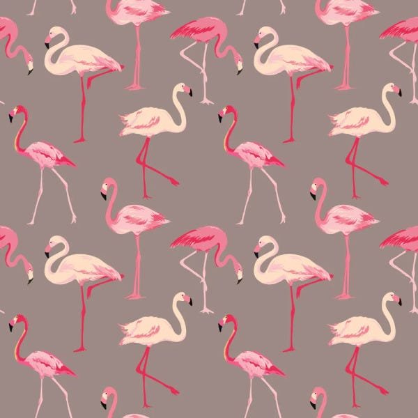 Papel de Parede Adesivo - Flamingos - 056pps - 2
