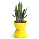 Ver imagem 1 de Vaso-Cachepots Hydro Amarelo