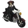 Escultura Em Resina Bulldog Motoqueiro - 1