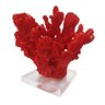 Coral em Poliresina Vermelho com Base Em Acrílico - 1