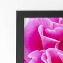 Ver imagem 2 de Quadro Rosa Flor Fotografia em Foco Moldura Preta 60x40cm