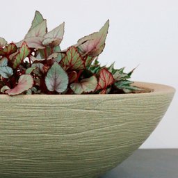 Vaso Terra Bowl 75 X 24 Cm Cor 11 - Granito Areia - 1