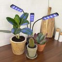 Ver mais imagens de Lampada Luminaria Cultivo Plantas Plantaçao Temporizador Led Uv Ultravioleta Planta em Casa Indoor e