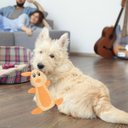 Ver imagem 6 de Mordedor Pelucia Cachorro Cao Pet Gato Animais Brinquedo com Apito Dentiçao Interativo Divertido Pet