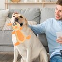 Ver imagem 2 de Mordedor Pelucia Cachorro Cao Pet Gato Animais Brinquedo com Apito Dentiçao Interativo Divertido Pet