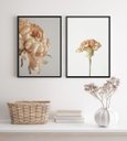 Ver imagem 2 de Kit 2 Quadros Decorativos Florais Nuances Bege 24x18cm - com Vidro:madeira Preta