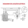 Ventilador de Teto Citrino Branco 3 Pás Transparentes Tron 127v - 5