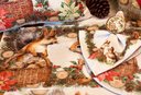 Ver imagem 1 de Kit Jogo Americano Natal Esquilo Ii Nsw 4 Peças