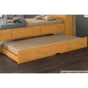 Ver imagem 1 de Cama Auxiliar Solteiro Premium Ii Cinamomo - Conquista