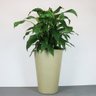 Vaso Terra Cone 38 X 55 Cm Vasart 11 - Granito Areia - 1