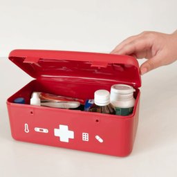 Caixa Organizadora com Alça para Medicamentos Maleta de Remédio Nécessaire Primeiros Socorros Farmác - 4