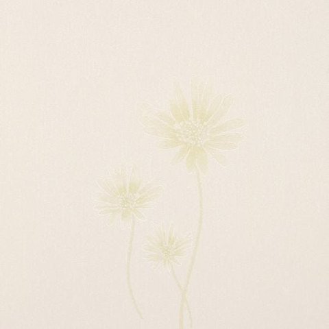 Papel de Parede Convencional Importado Beautiful Home BH 81502