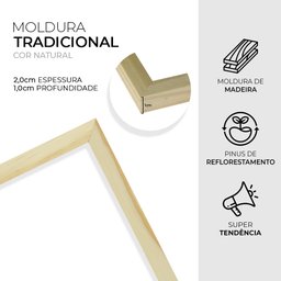 Kit 3 Quadros Decorativos 43x63 Plantas Colorido Folhagens com Moldura Pinus - 5