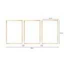 Ver imagem 4 de Kit 3 Quadros Decorativos 43x63 Plantas Colorido Folhagens com Moldura Pinus