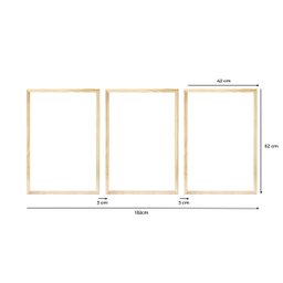 Kit 3 Quadros Decorativos 43x63 Plantas Colorido Folhagens com Moldura Pinus - 4