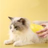 Escova a Vapor Cachorro Pet Cao Gato Eletrico Removedor de Pelo Bateria Recarregavel Higiene Limpeza - 3
