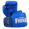 Luva Boxe Muay Thai Tradicional - 08 oz Azul - 2