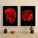 Ver imagem 1 de Kit 2 Quadros Decorativos Peixes Beta 45x34cm:moldura Branca