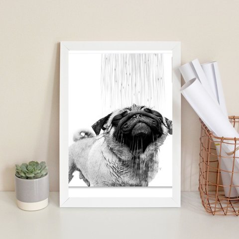Quadro Banheiro - Pug Tomando Banho 24x18cm - com Vidro:moldura Preta