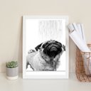 Ver imagem 1 de Quadro Banheiro - Pug Tomando Banho 24x18cm - com Vidro:moldura Preta