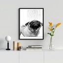 Ver imagem 2 de Quadro Banheiro - Pug Tomando Banho 24x18cm - com Vidro:moldura Preta