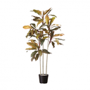Ver imagem 1 de Árvore Artificial Cordyline 120cm com 3 Troncos | Formosinha