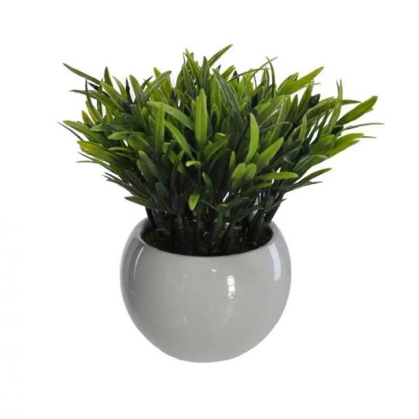 Vaso Decorativo Branco Planta Podocarpus Verde 18 cm - D'rossi - 1
