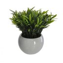 Ver imagem 1 de Vaso Decorativo Branco Planta Podocarpus Verde 18 Cm - D'rossi