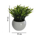 Ver imagem 2 de Vaso Decorativo Branco Planta Podocarpus Verde 18 Cm - D'rossi