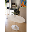 Ver imagem 1 de Mesa de Jantar Saarinen Oval Mármore Espirito SANTO120X80CM