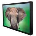 Ver imagem 3 de Quadro Decorativo Elefante africano em Moldura Caixa Tacolado Moldura Trad 1cm Branca com Vidro 40 X