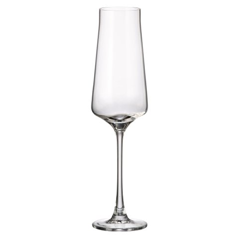 6 Taças de Champagne Cristal Cettia 270ml Full Fit