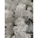 Ver imagem 4 de Árvore Grande Flor de Cerejeira Branca Flores Artificiais