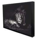 Ver imagem 3 de Quadro Decorativo Leão Preto e Branco em Moldura Caixa Tacolado Moldura Trad 1cm Branca com Vidro 20