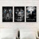 Ver imagem 2 de Kit 3 Quadros Animais Disciplina Foco Execução 45x34cm - com Vidro:moldura Branca