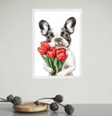 Ver imagem 2 de Quadro Cão Bulldog Francês com Flores Vermelhas 33x24cm:moldura Preta