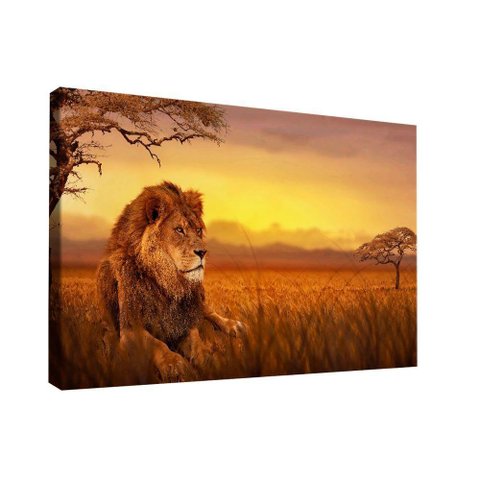 Quadro Leão Savana -- Br Artes