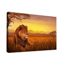 Ver imagem 1 de Quadro Leão Savana -- Br Artes