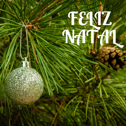 Kit 44 Peças Enfeite Natalino Estrela Bolinhas Festão Cordão Cor:prata - 7