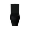 Ver imagem 2 de Vaso Sanitário com Caixa Acoplada Barocco Premium Acqua