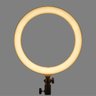 Iluminador Circular Led Godox Lr120 12 / 30cm Ring-light 10w - 7