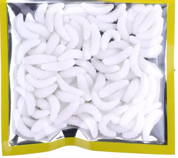 Kit 50 Iscas Artificiais Larva Bigato Bichinho da Laranja - 3