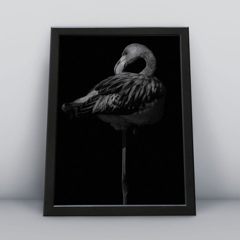 Quadros Decorativos Aves Decoração Sala Quarto Diversos:2