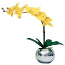 Ver imagem 1 de Arranjo Flores 1 Orquídea Amarela Toque Real Vaso Prata